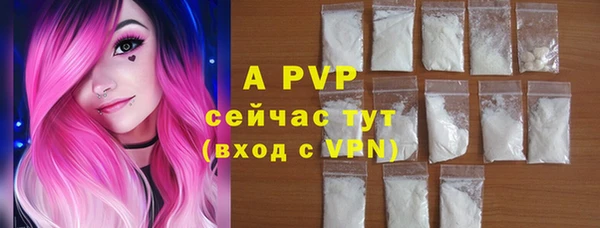 прущие грибы Балабаново
