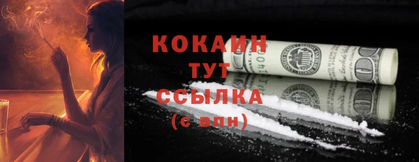 прущие грибы Балабаново