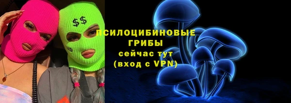 прущие грибы Балабаново