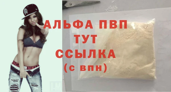 прущие грибы Балабаново