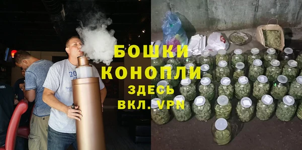 ПСИЛОЦИБИНОВЫЕ ГРИБЫ Балахна