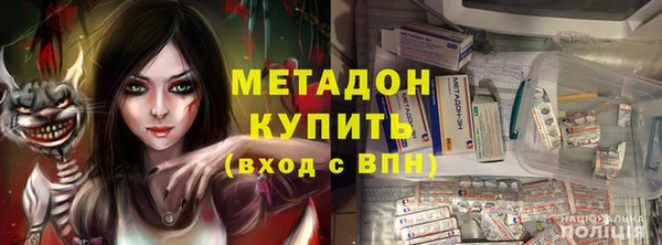 прущие грибы Балабаново