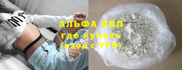 прущие грибы Балабаново