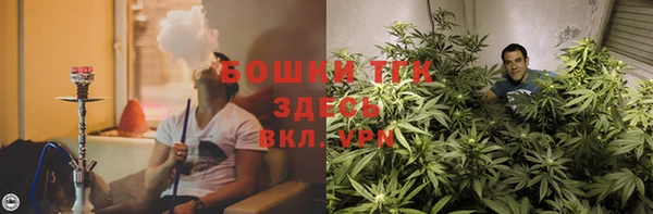 ПСИЛОЦИБИНОВЫЕ ГРИБЫ Балахна